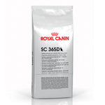 Royal Canin SC 365D (15 KG) - Dry food for Sterilised Adult Cats - Talapets