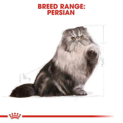 Royal Canin Persian Adult (400G/2KG/4KG/10KG) - Talapets