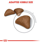Royal Canin Hairball Care Dry Food (400G/2KG) - Talapets