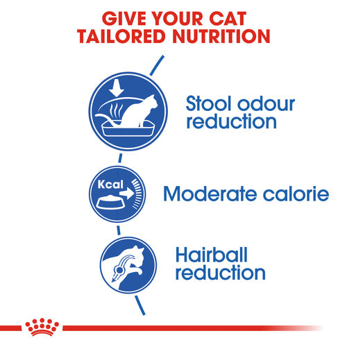 Royal Canin Indoor27 Dry food (400G/2KG) - Talapets