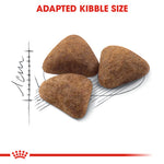 Royal Canin Indoor27 Dry food (400G/2KG) - Talapets
