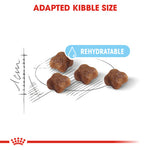 Royal Canin Mother & Babycat Dry Food (400G/2KG) - Talapets