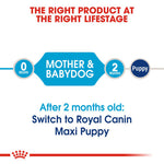 Royal Canin Maxi Starter Dry Mother & Baby Food (4KG/15KG) - Talapets