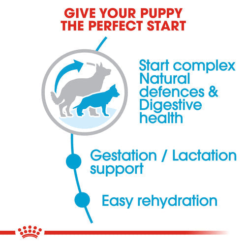 Royal Canin Maxi Starter Dry Mother & Baby Food (4KG/15KG) - Talapets