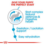 Royal Canin Maxi Starter Dry Mother & Baby Food (4KG/15KG) - Talapets