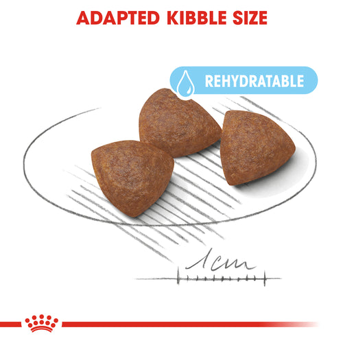 Royal Canin Medium Starter Mother and Babydog (4kg) - Mother during gestation and lactation - weaning puppies up to 2 months - Talapets