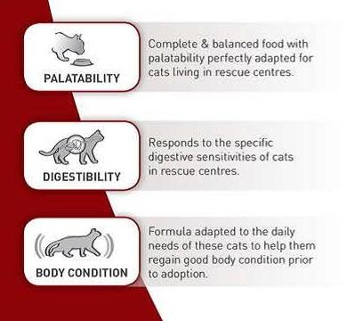 Royal Canin SC 365D (15 KG) - Dry food for Sterilised Adult Cats - Talapets