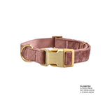 Naomi Pet Collar - Talapets