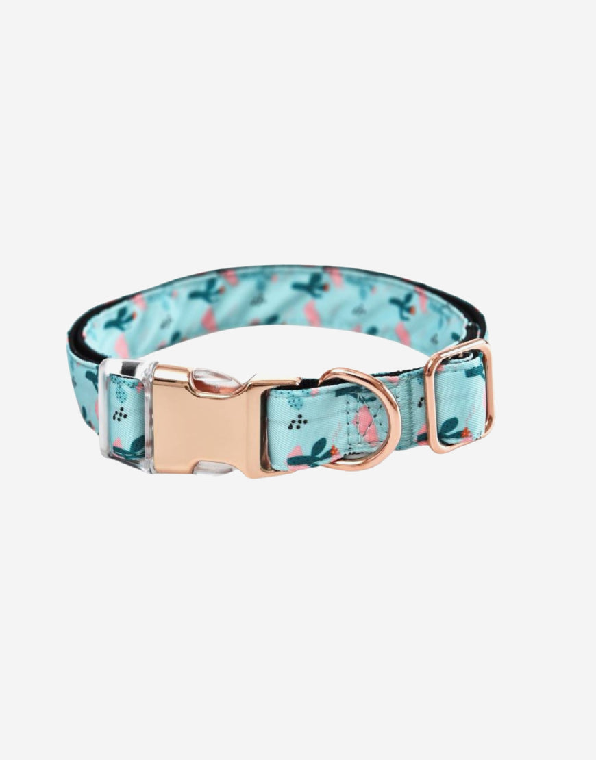 Naomi -YL107710 Pet Collar
