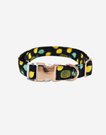 Naomi –YL107711 Pet Collar