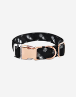 Naomi –YL107711 Pet Collar
