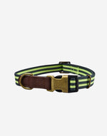 Naomi – YL109751 Pet Collar