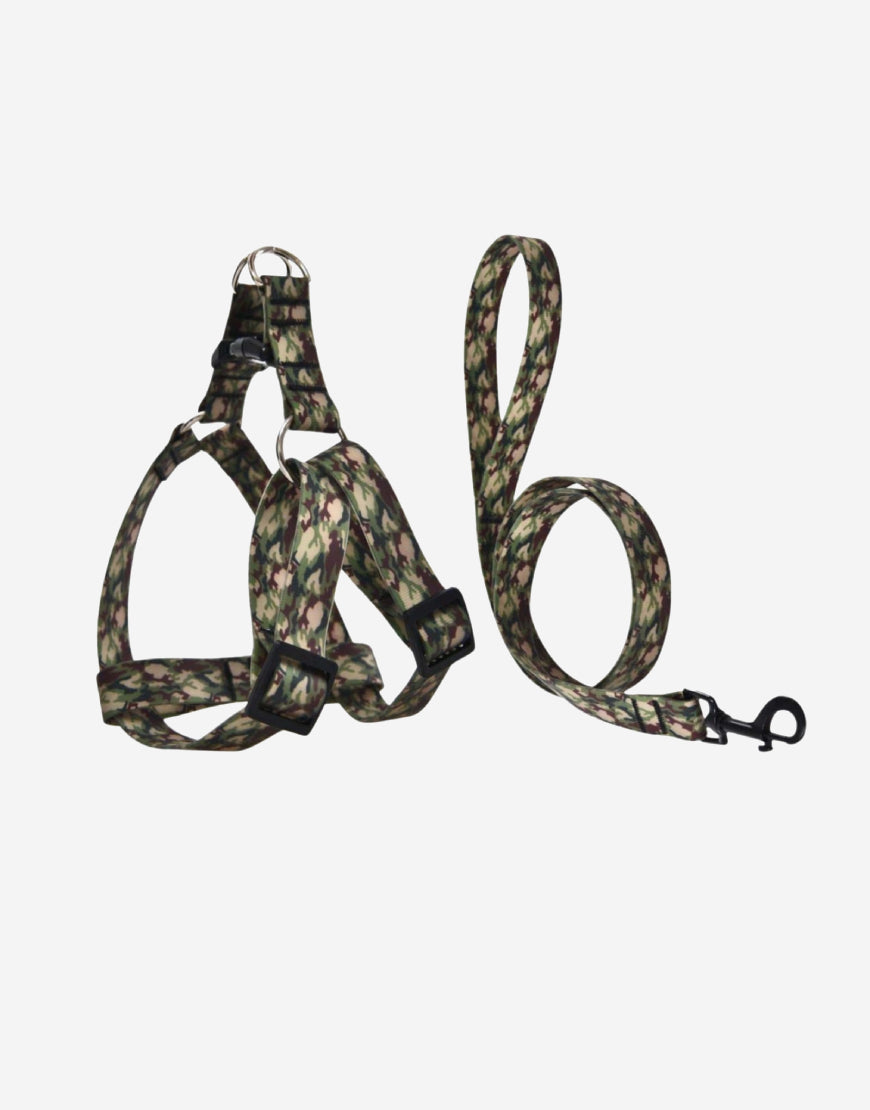 Naomi – YL109764 / YL109766 Pet Leash & Harness