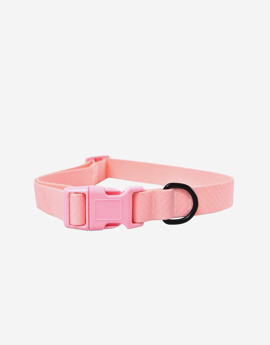 Naomi -YL109789 Pet Collar
