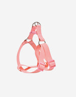Naomi –YL109790 Pet Harness