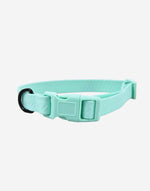 Naomi –YL109795 Pet Collar