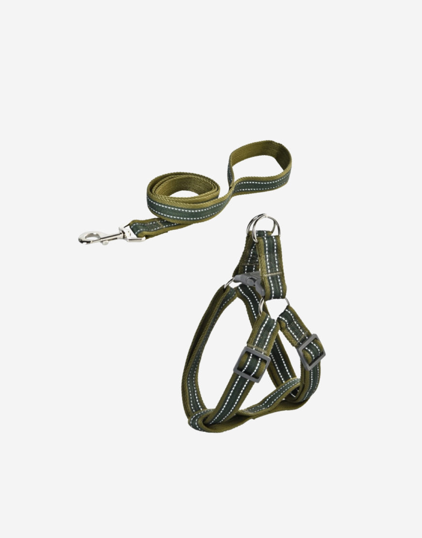 Naomi -YL119452 / YL119454 Pet Leash & Harness