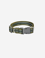 Naomi –YL119453 Pet Collar