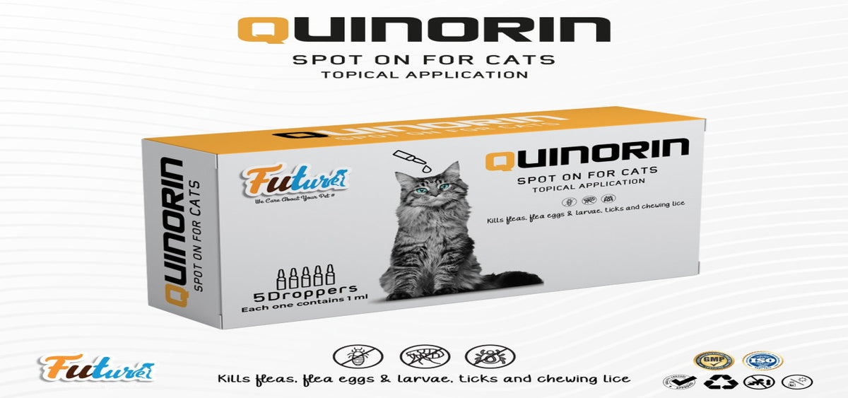 Future Quinorin Spot On for Cats (1 kg - 4 kg) - 1 pipette