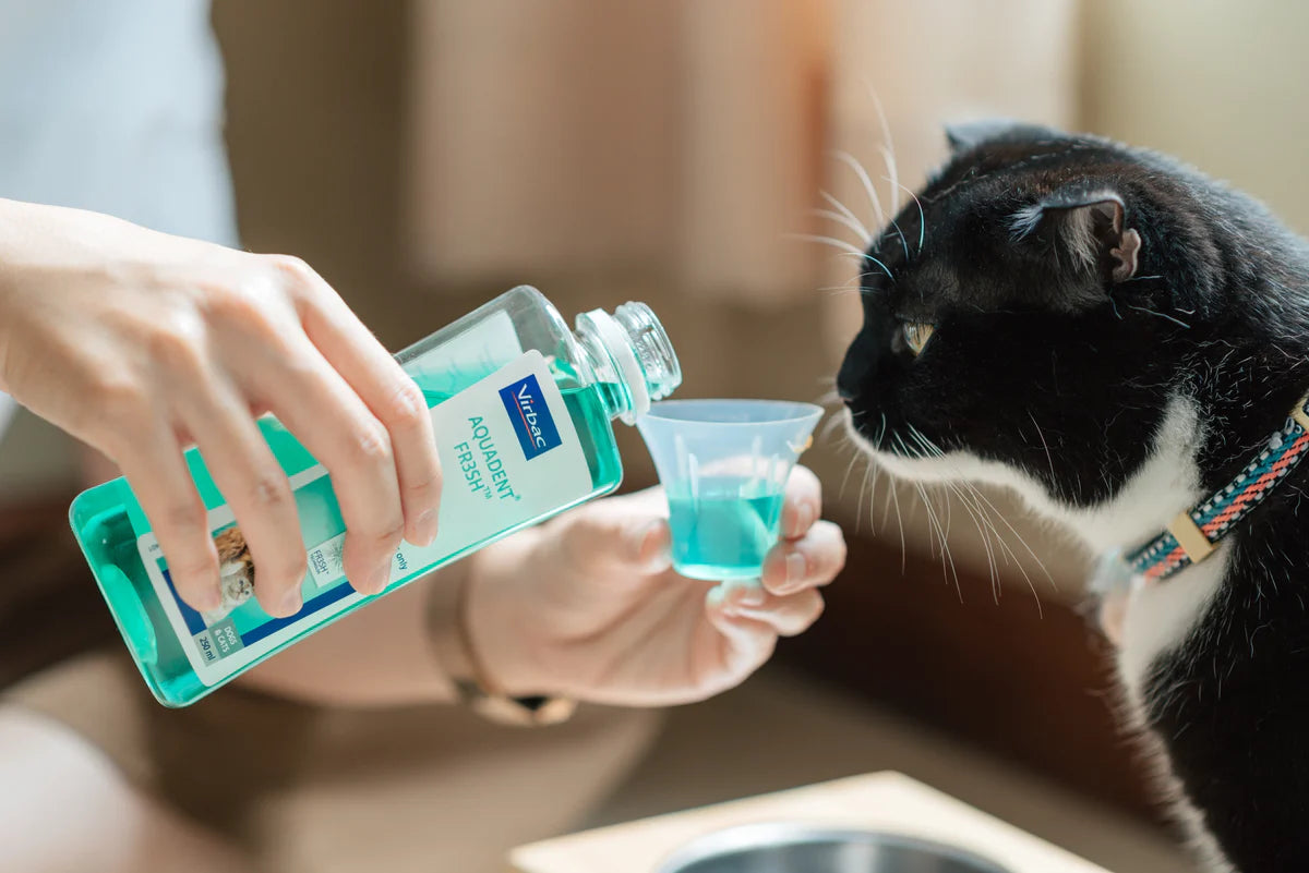 Vet Aquadent FR3SH™ – Water Additive for Dogs & Cats 250ml