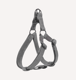 DOGNESS Earth Leash + Harness (3 Sizes)