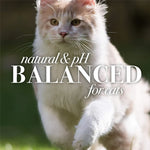 Burt’s Bees Hypoallergenic Shampoo for Cats Shea Butter and Honey 296ml
