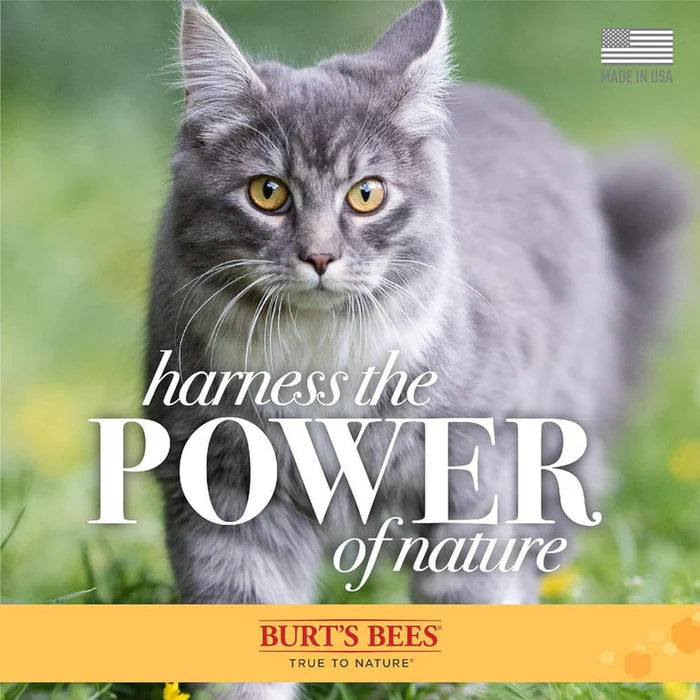 Burt’s Bees Hypoallergenic Shampoo for Cats Shea Butter and Honey 296ml