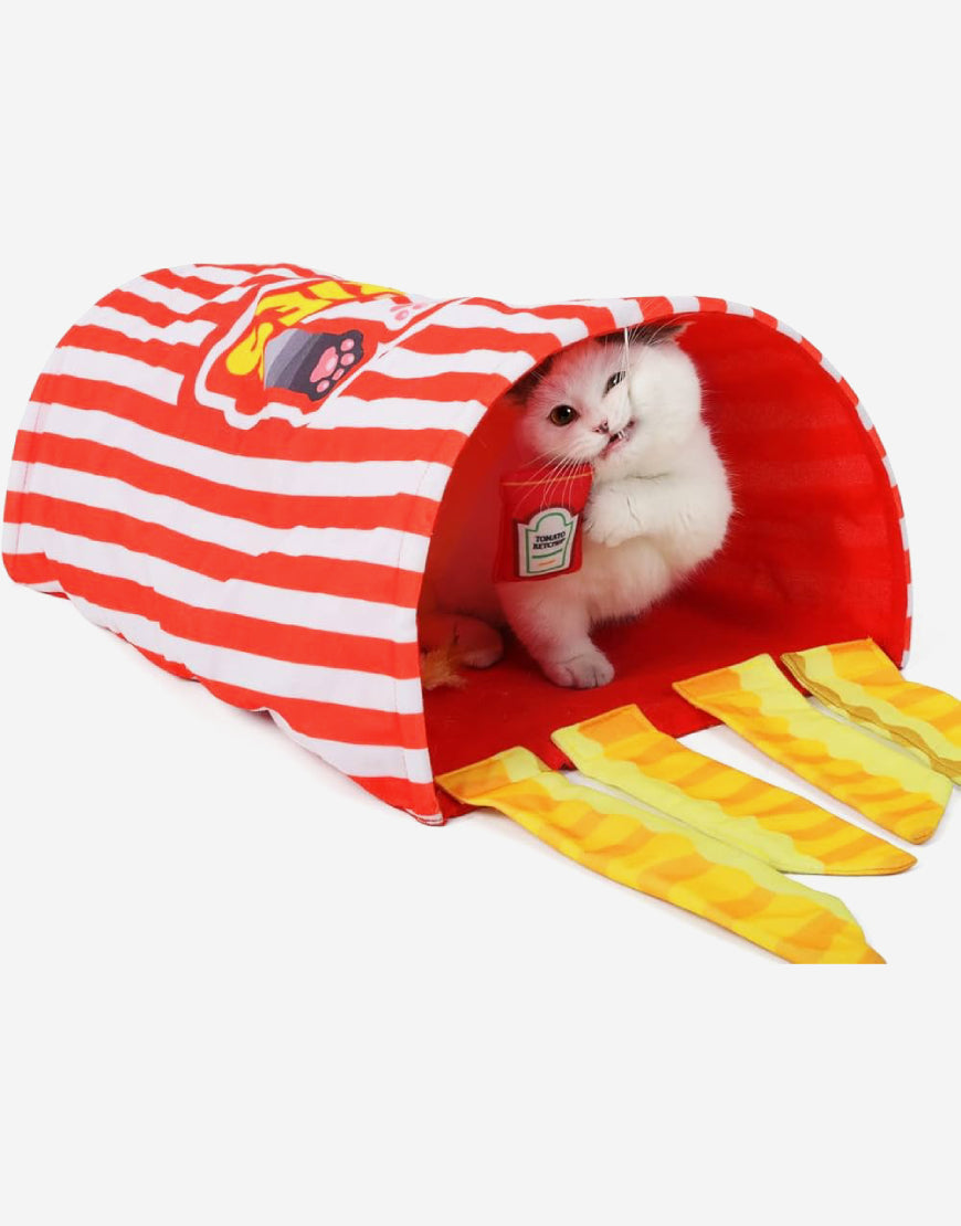 Naomi –YT119195 Cat tunnel