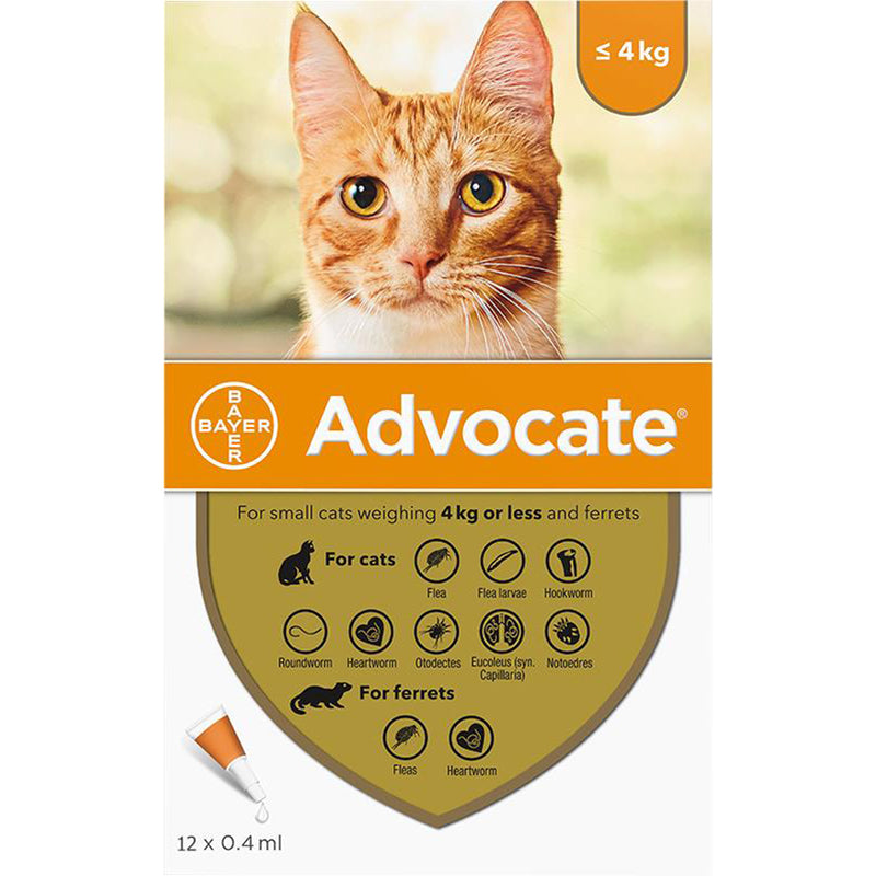 Advocate For Small Cat ( up to 4 kg ) - 1 Pipette - Talapets
