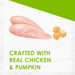 Purina Fancy Feast Chicken Puree Cat Liquid Treats with Pumpkin Flakes 4x10G