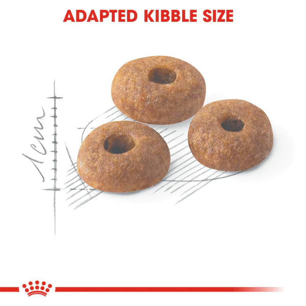Royal Canin Fit 32 (2KG) Dry food for cats - Talapets