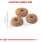 Royal Canin Fit 32 (2KG) Dry food for cats - Talapets