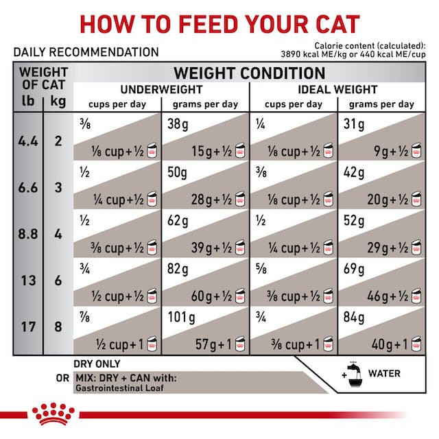 Royal Canin Gastrointestinal For Cat - feline(2 KG) - Dry - Talapets