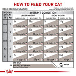 Royal Canin Gastrointestinal For Cat - feline(2 KG) - Dry - Talapets