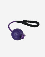 Naomi -YT108140 Dog Bite Toy