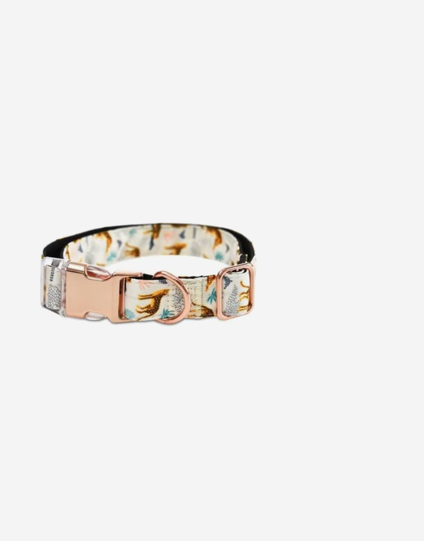 Naomi -YL107710 Pet Collar