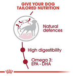 Royal Canin Medium Adult (4 KG) - Talapets