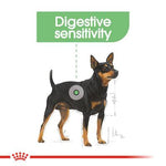 Royal Canin Mini Digestive Care (3 KG) - Dry food for small dogs - Talapets