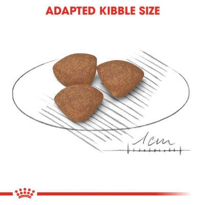 Royal Canin Mini Puppy (2KG) - Dry food for small dogs - Talapets