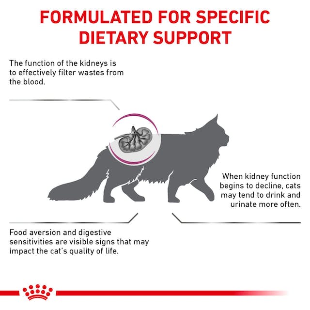 Royal Canin Feline Renal For Cat (2 KG) - Dry food for Renal and chronic kidney diseases - Talapets