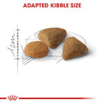 Royal Canin Exigent Savour (2KG) Fussy Cats - Talapets