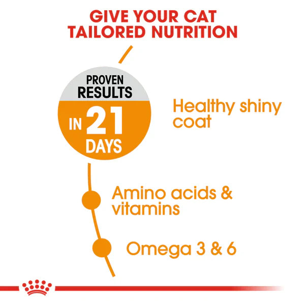 Royal Canin Hair & Skin Care (2 KG) - Talapets