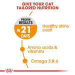 Royal Canin Hair & Skin Care (2 KG) - Talapets