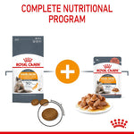 Royal Canin Hair & Skin Care (2 KG) - Talapets