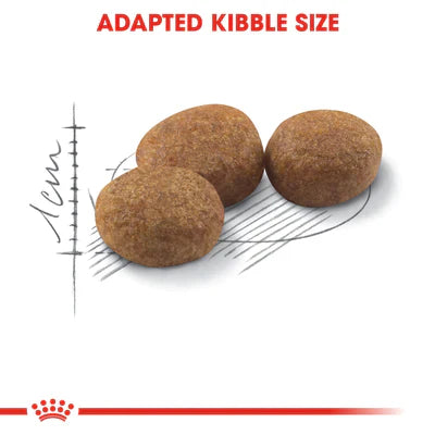 Royal Canin Sterilized 37 (2 KG) - Neutered adult cats - Talapets