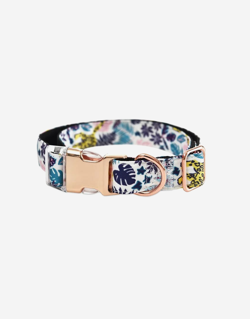 Naomi –YL107711 Pet Collar