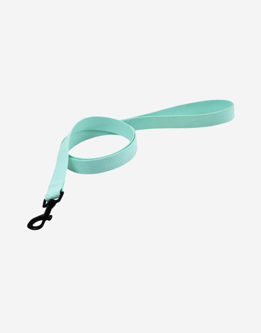 Naomi –YL109794 Pet leash