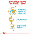 Royal Canin Yorkshire Terrier Puppy (1.5 KG) - Dry food for puppies up to 10 months old - Talapets